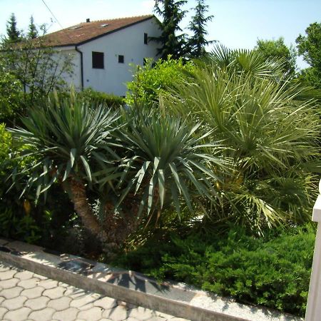 Apartmans Nadin Umag Bagian luar foto